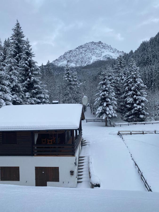 Le Chalet D'Or Padola Extérieur photo